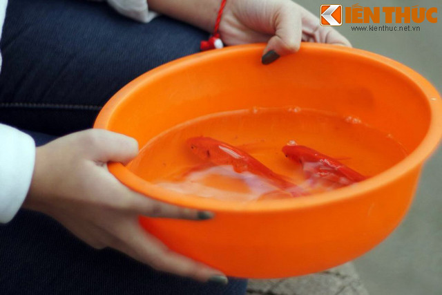 Y nghia dang sau tuc tha ca chep ngay 23 thang Chap-Hinh-6