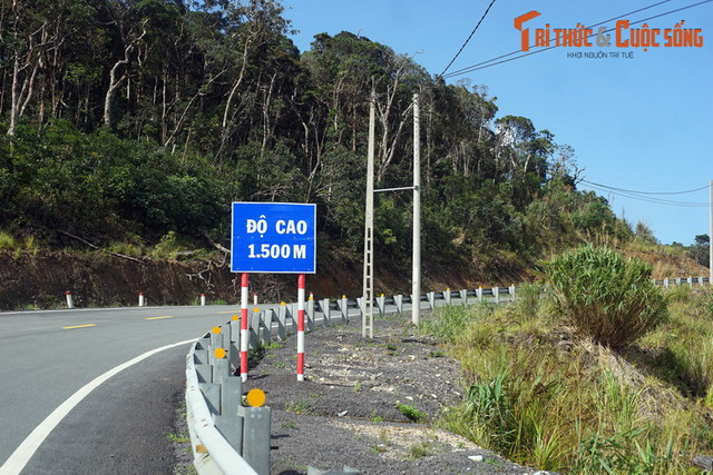 Chiem nguong cung duong tu Nha Trang di Da Lat-Hinh-9