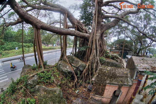 Mãn nhãn cảnh tượng tuyệt vời trên đường từ Huế đi Đà Nẵng - Hình 3 Man nhan canh tuong tuyet voi tren duong tu Hue di Da Nang-Hinh-3