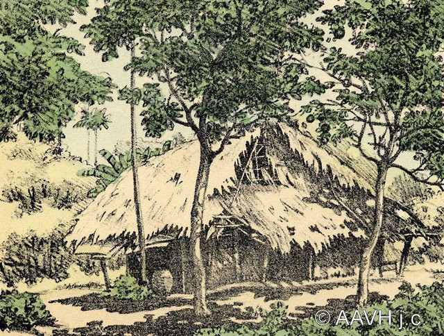 Tranh dac sac ve canh quan Nam Bo nam 1935-Hinh-2