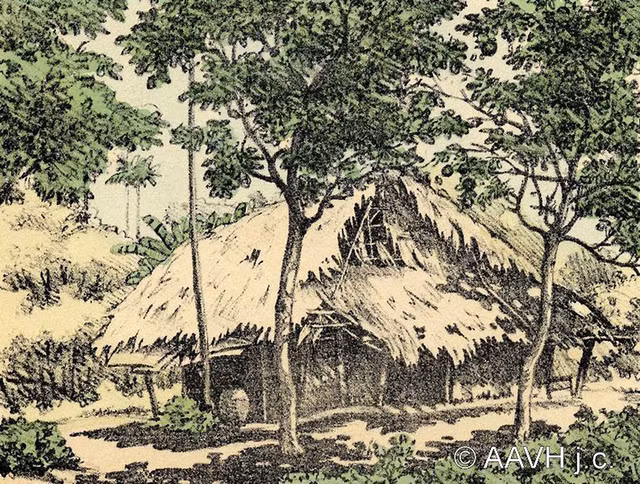 Tranh dac sac ve canh quan Nam Bo nam 1935-Hinh-2