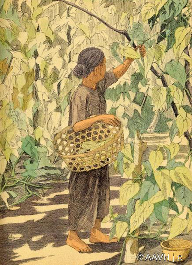 Loạt tranh vẽ lạ mắt về đời sống ở Nam Bộ năm 1935 - Hình 4 Loat tranh ve la mat ve doi song o Nam Bo nam 1935-Hinh-4