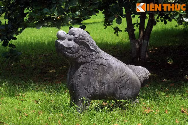 Vi sao con nghe than bi luon xuat hien tren co vat Viet Nam