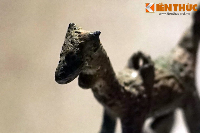 An tuong nhung bao vat quoc gia bi an nhat cua Viet Nam-Hinh-8