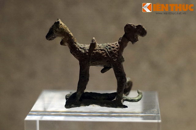 An tuong nhung bao vat quoc gia bi an nhat cua Viet Nam-Hinh-6