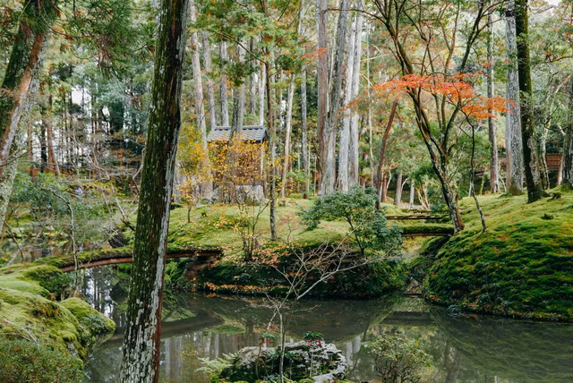 11 khu vuon noi tieng dep nhu tranh o dat nuoc Nhat Ban-Hinh-5