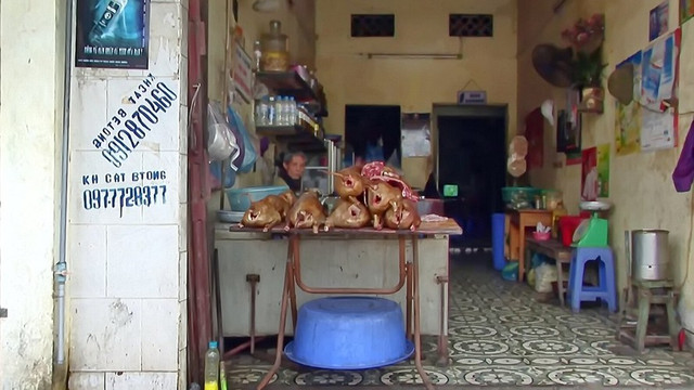 Khach tay noi gi ve mon thit cay o Viet Nam hang chuc nam truoc?-Hinh-6