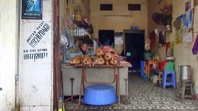 Khach tay noi gi ve mon thit cay o Viet Nam hang chuc nam truoc?-Hinh-6