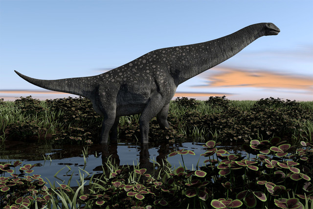 Cận cảnh hóa thạch khủng long thứ thiệt giữa Hà Nội - Hình 8 Can canh hoa thach khung long thu thiet giua Ha Noi-Hinh-8