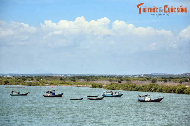 Khám phá những điều thú vị ở đảo “Rồng” cạnh Vũng Tàu Kham pha nhung dieu thu vi o dao “Rong” canh Vung Tau