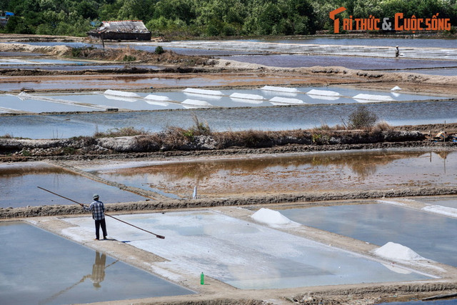 Kham pha nhung dieu thu vi o dao “Rong” canh Vung Tau-Hinh-10