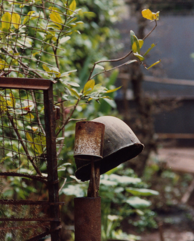 TP. HCM năm 1988 cực sống động qua loạt ảnh của khách ngoại - Hình 12 TP. HCM nam 1988 cuc song dong qua loat anh cua khach ngoai-Hinh-12