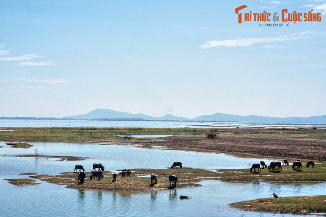 Du ngoạn 3 kỳ quan nức tiếng của vùng đất Tây Ninh - Hình 6 Du ngoan 3 ky quan nuc tieng cua vung dat Tay Ninh-Hinh-6