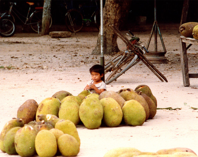 Chùm ảnh cuộc sống người dân ở Nha Trang năm 1988 - Hình 6 Chum anh cuoc song nguoi dan o Nha Trang nam 1988-Hinh-6