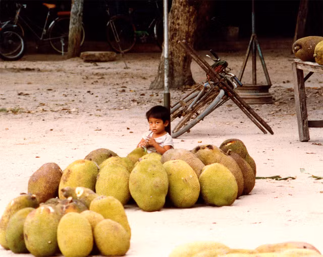 Chum anh cuoc song nguoi dan o Nha Trang nam 1988-Hinh-6