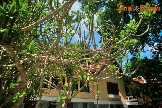 Đi xem dinh thự đẹp nổi tiếng của vua Bảo Đại ở Buôn Ma Thuột - Hình 13 Di xem dinh thu dep noi tieng cua vua Bao Dai o Buon Ma Thuot-Hinh-13