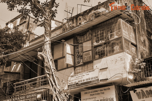 Khám phá phố đổi tiền nổi tiếng Hà Nội xưa - Hình 11 Kham pha pho doi tien noi tieng Ha Noi xua-Hinh-11