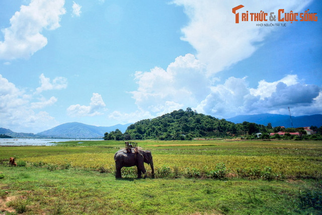 Nhìn lại những hình ảnh chỉ còn là dĩ vãng về voi nhà Tây Nguyên - Hình 8 Nhin lai nhung hinh anh chi con la di vang ve voi nha Tay Nguyen-Hinh-8