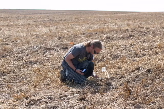 1-3166.png