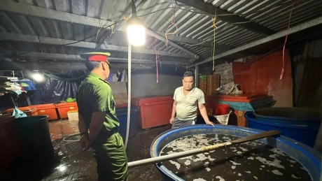 Triệt phá đường dây ngâm thịt ốc bằng hóa chất độc hại tại TPHCM