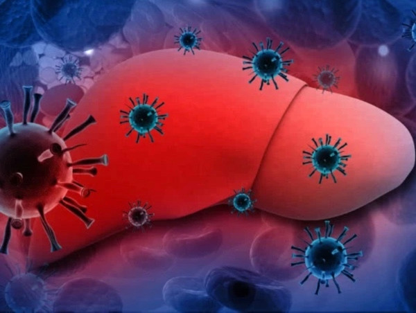 Những dấu hiệu cho thấy gan bạn đang tích lượng độc tố quá mức Nhung dau hieu cho thay gan ban dang tich luong doc to qua muc