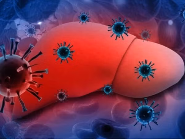 Nhung dau hieu cho thay gan ban dang tich luong doc to qua muc