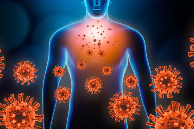 Theo quy luat virus phai suy yeu, con Delta thi sao?-Hinh-2