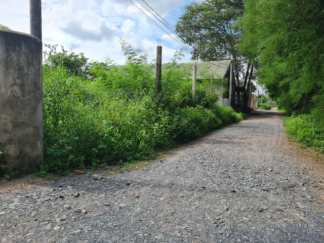 Dong Nai: Can canh Khu cong nghiep Ho Nai hon 2 thap ky van ngon ngang-Hinh-16