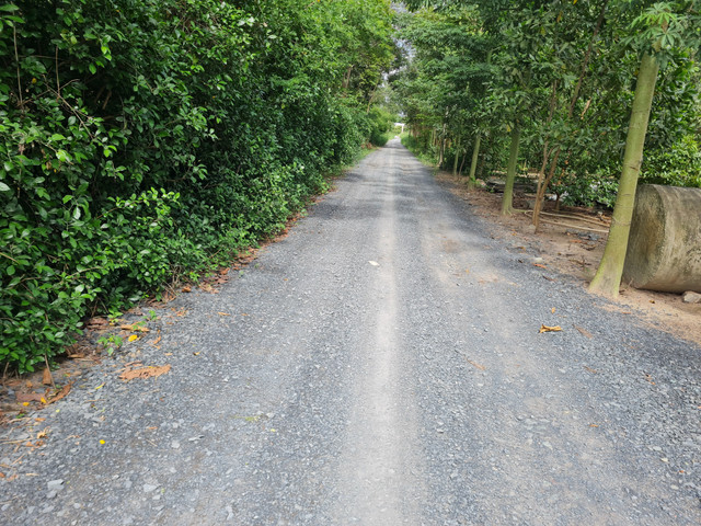 Dong Nai: Can canh Khu cong nghiep Ho Nai hon 2 thap ky van ngon ngang-Hinh-17