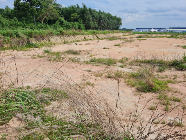 Dong Nai: Can canh Khu cong nghiep Ho Nai hon 2 thap ky van ngon ngang-Hinh-12