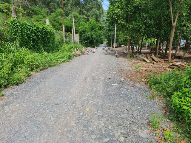 Dong Nai: Can canh Khu cong nghiep Ho Nai hon 2 thap ky van ngon ngang-Hinh-13