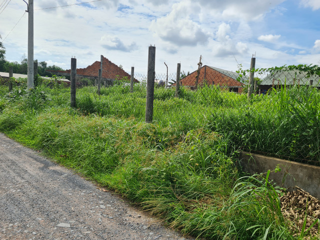 Dong Nai: Can canh Khu cong nghiep Ho Nai hon 2 thap ky van ngon ngang-Hinh-14