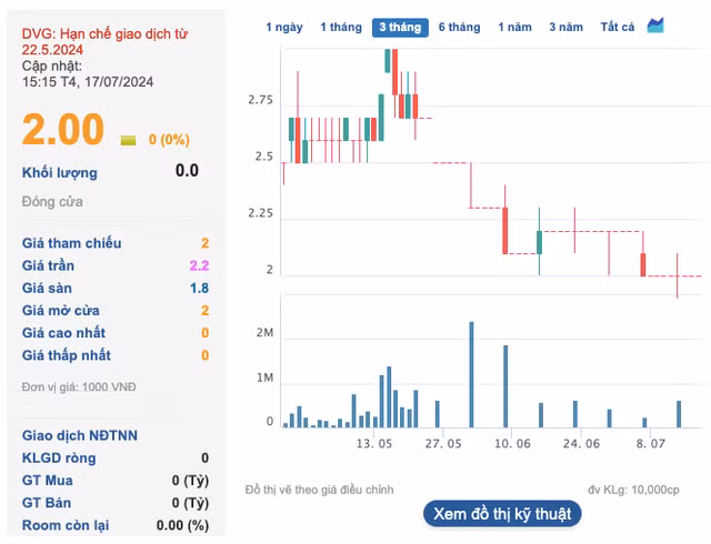 28 trieu co phieu DVG cua Dai Viet Group co nguy co bi huy niem yet-Hinh-2