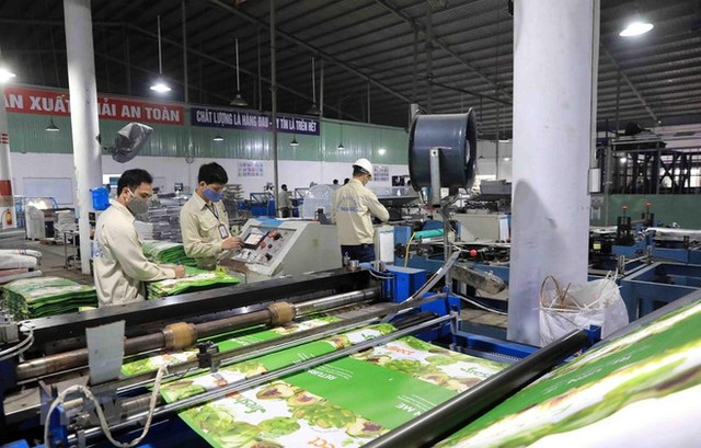 Quý 2/2024, TDP lãi gấp 8 lần cùng kỳ, cổ đông sắp hưởng lợi Quy 2/2024, TDP lai gap 8 lan cung ky, co dong sap huong loi