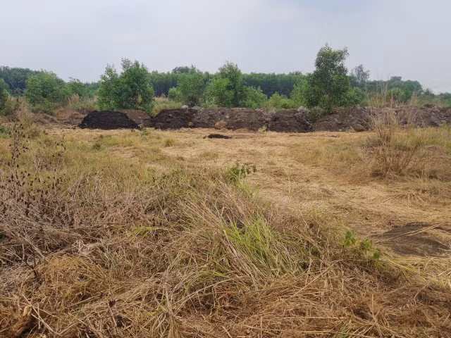 Lan theo duong di cua khoang san tai du an ho suoi Dam tinh Dong Nai-Hinh-30