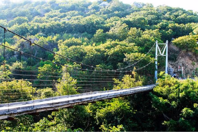 Ngam “kho bau” vo gia o vuon quoc gia Nui Chua-Hinh-2