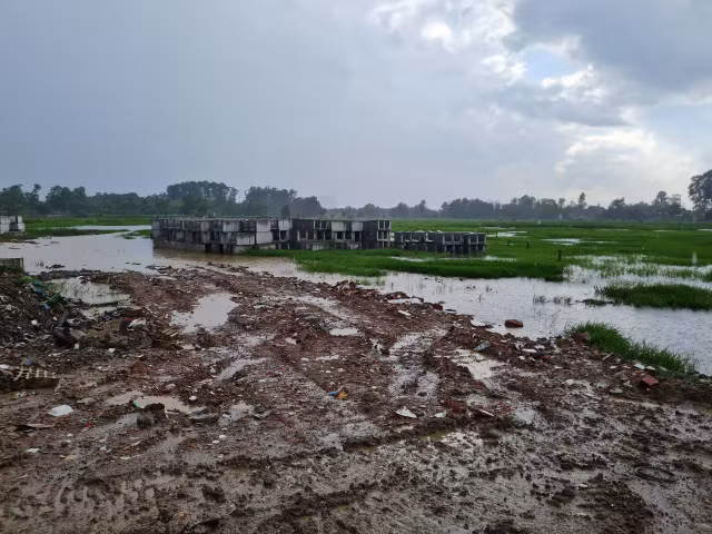 Dong Nai: Vi sao cau Thong Nhat khoi cong roi... dap chieu?-Hinh-4