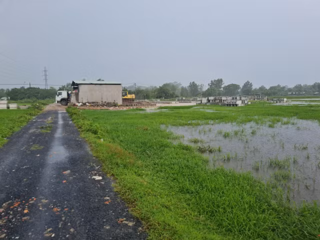 Dong Nai: Vi sao cau Thong Nhat khoi cong roi... dap chieu?-Hinh-3
