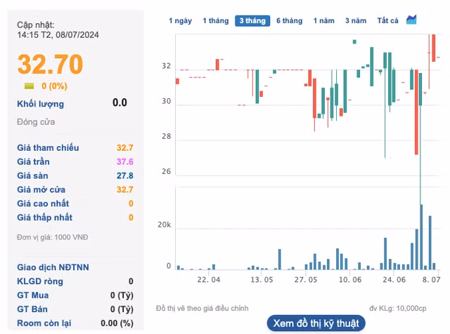 Xay Dung Tuan Loc ban gan 33% von tai Sonadezi Giang Dien-Hinh-2