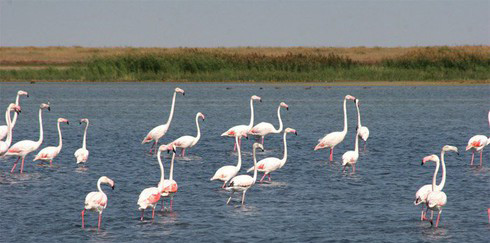 Những điều vô cùng đặc biệt ở đất nước Kazakhstan bí ẩn - Hình 8 Nhung dieu vo cung dac biet o dat nuoc Kazakhstan bi an-Hinh-8