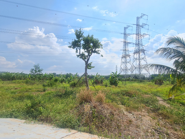 Thien Tan (Vinh Cuu, Dong Nai): “Ve quy hoach duong” chi de phuc vu phan lo dat nong nghiep?-Hinh-17