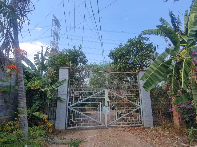 Thien Tan (Vinh Cuu, Dong Nai): “Ve quy hoach duong” chi de phuc vu phan lo dat nong nghiep?-Hinh-20