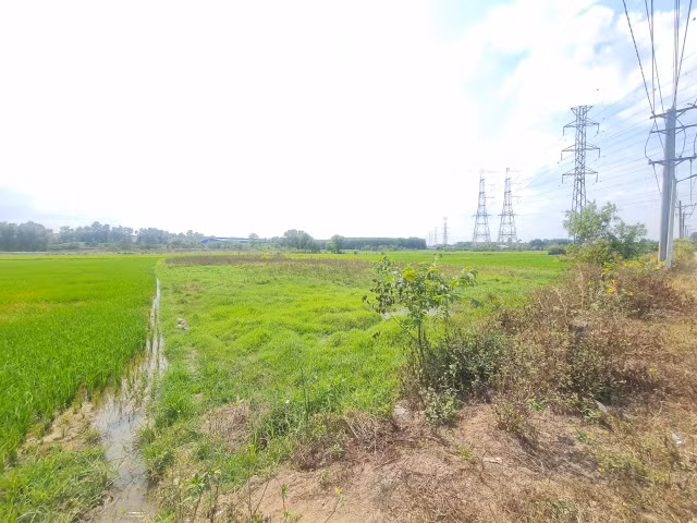 Thien Tan (Vinh Cuu, Dong Nai): “Ve quy hoach duong” chi de phuc vu phan lo dat nong nghiep?-Hinh-13