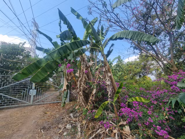 Thien Tan (Vinh Cuu, Dong Nai): “Ve quy hoach duong” chi de phuc vu phan lo dat nong nghiep?-Hinh-22