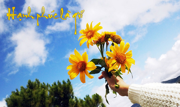 Thiền Sư Thích Nhất Hạnh dạy gì trong cuốn 'Hạnh phúc cầm tay'? - Hình 8 Thien Su Thich Nhat Hanh day gi trong cuon 'Hanh phuc cam tay'?-Hinh-8