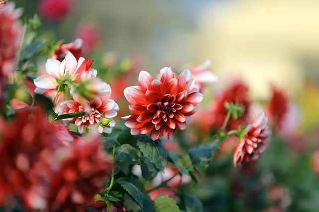 Thien Su Thich Nhat Hanh day gi trong cuon 'Hanh phuc cam tay'?-Hinh-7