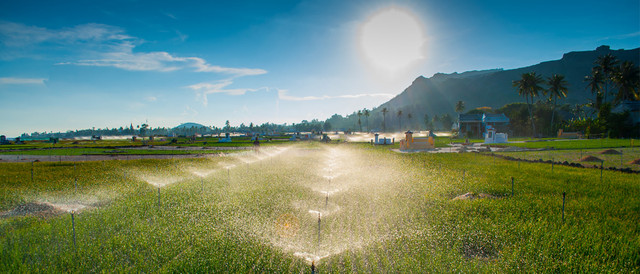 Bí mật trong công viên địa chất Lý Sơn - Sa Huỳnh Bi mat trong cong vien dia chat Ly Son - Sa Huynh