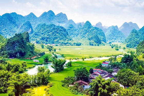 Tận mục kho báu hiếm có ở Công viên địa chất Non nước Cao Bằng - Hình 14 Tan muc kho bau hiem co o Cong vien dia chat Non nuoc Cao Bang-Hinh-14