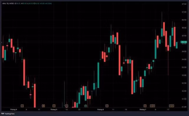 Loi nhuan Navico giam sut, nhieu lanh dao cong ty muon ban co phieu-Hinh-2