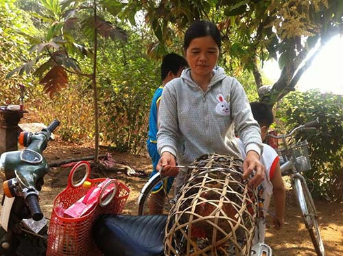 Những phong tục ăn Rằm tháng 7 độc lạ ở Việt Nam - Hình 10 Nhung phong tuc an Ram thang 7 doc la o Viet Nam-Hinh-10